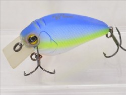 American blue shad
