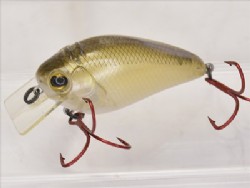 Biwako ledgend classic