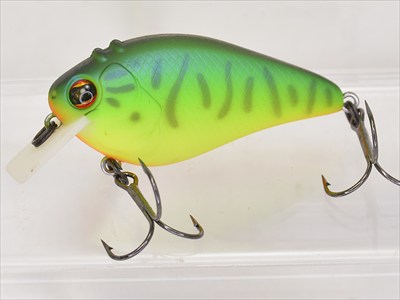 IMAKATSU / SCARE BROW 57 (BONE MODEL) (USED)