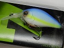 Ameican blue shad (#261)