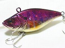 Purple tiger