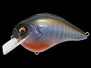 Secret gill