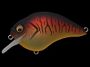 E2 Craw