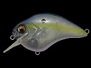 GP Sexy shad