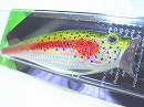 Rainbow trout