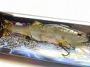 Flash rainbow (#183) -Dead Slow Sinking