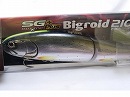 High visible rainbow trout (#390)