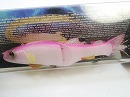 Sight pink