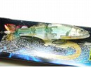 Flash oikawa male (#213)