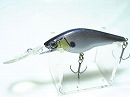 Tennessee shad