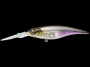 NC Biwako wakasagi