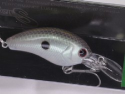 Pearl green shad