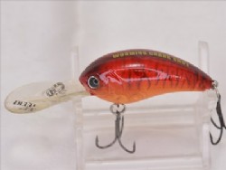 Soft shell