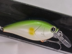 Lime ayu orange belly