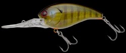 Real ghost blue gill