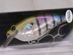 Hologram flashing blue gill