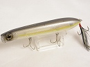 American shad