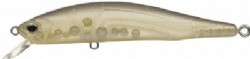 Reservoir shad (#247)