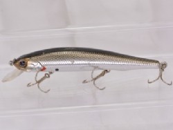 Tennessee shad