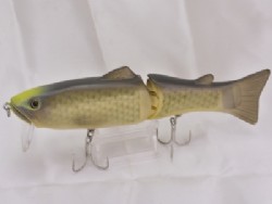 Flash carp (Rise-up model)