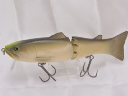 Wild carp (Rise-up model)