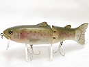 Rainbow trout