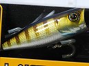 E2 blue gill