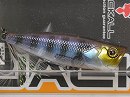 FP Clear baby gill