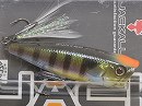 HL Orange head gill