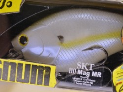 Chartreuse shad