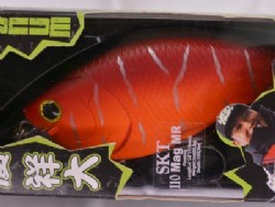 Shota persimmon