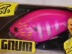 Pink dragon gill