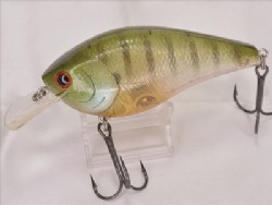 Flake flake male gill