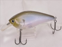 Ghost minnow