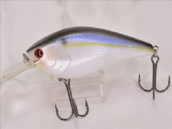 Pearl threadfin shad
