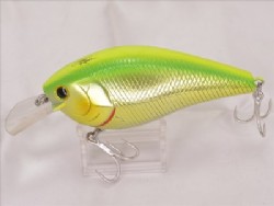 Shota grass shad