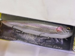 Rainbow trout (#297)