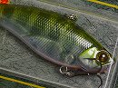 Ghost gill