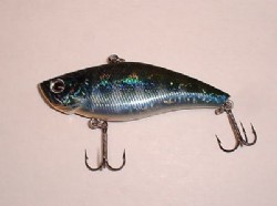 Blue gill