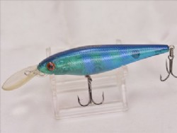 Gill male