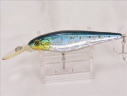 Iwashi holographic