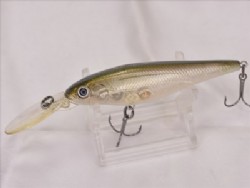 Hologram shad