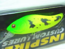 Spotted mat lime