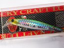 MS Japan shad