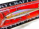 MS American shad