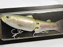 Rainbow trout (#21)