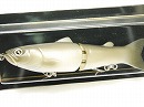 Wild carp (#01)