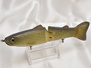 Real fash carp (2008 Member limited color)