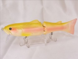 Albino rainbow