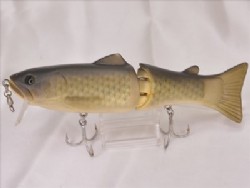 Flash carp